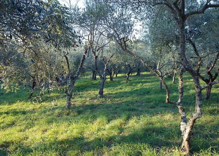 Il Nuvoloso 2